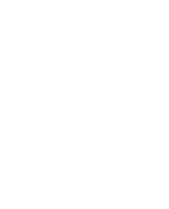O Royale Festival